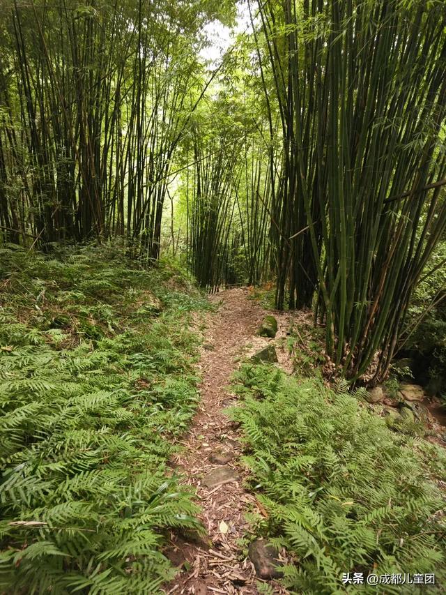 成都适合秋天的5条徒步线！随时出发