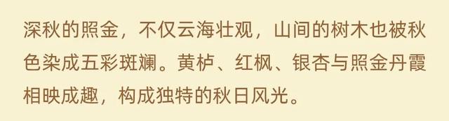 云海的照金，美如仙境！