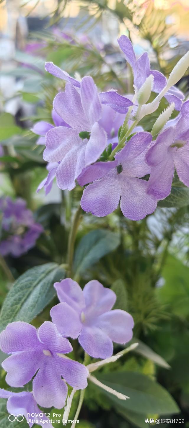 现实版的背信弃义的人，竟然挖了朋友的墙角