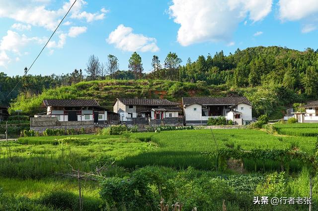 走遍福建古村落，罗宁古道上的八百年古村，藏在坑里叫“深坑”
