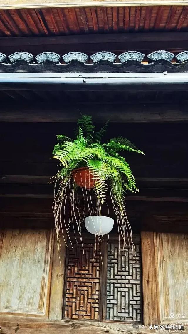 踏秋宝地，来宁波第一长寿古村，长寿之秘，藏于雁苍山水间！