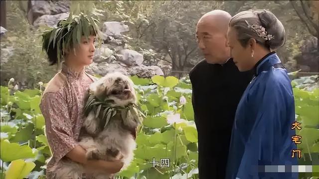 吃里扒外！定居美国13年，回国捞金惨遭“驱逐”，52岁活成了笑话