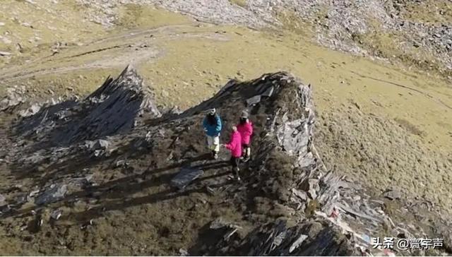 27起事故，11起涉拍照，网红旅行野蛮生长，安全优先成必选项