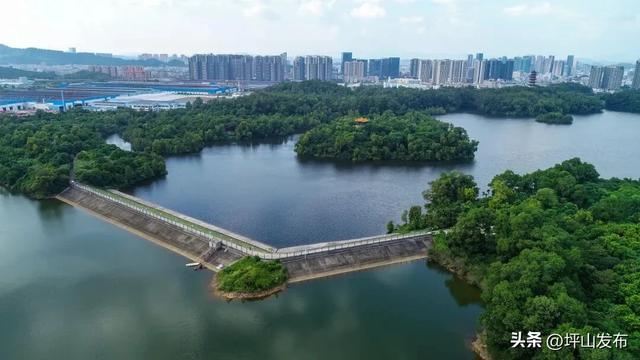 骑遇坪山① | 宝藏“高颜值”骑行线，拍出森系大片刷爆朋友圈