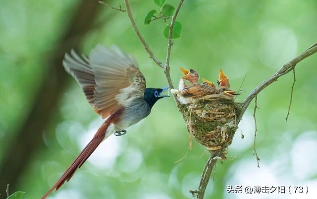 两性关系，惊人发现，60岁与异性靠近，根本不是桃花运，而是这