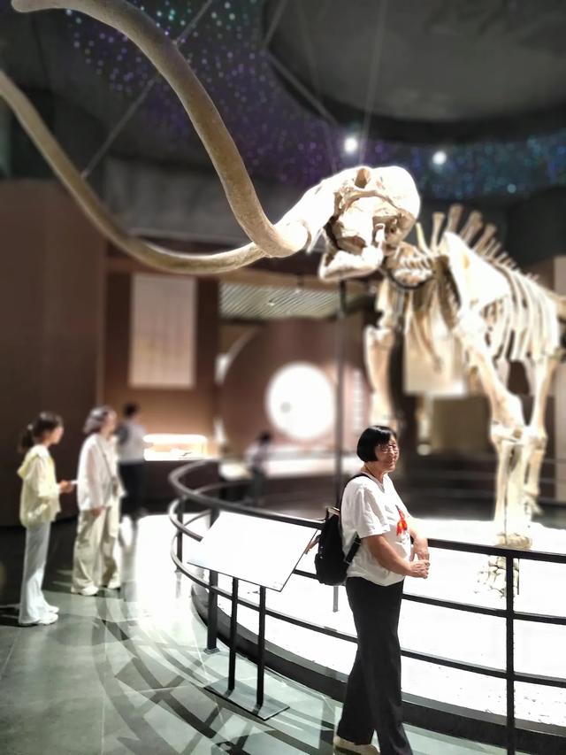 难忘的草原之旅