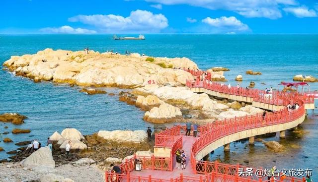 【乐游烟台】周末好去处丨免费！半价！烟台放大招→