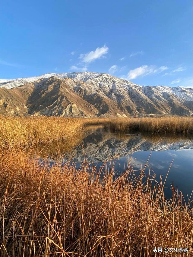 下次有朋友去拉萨，除了布达拉宫，请告诉他一定要逛逛这里