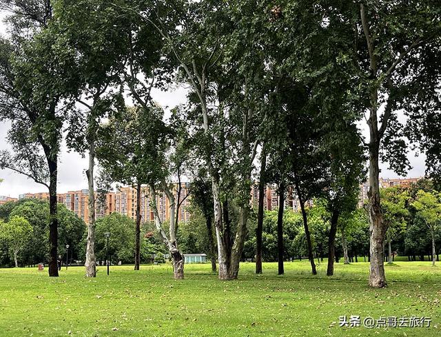 成都公园难得一见的旷野之景，画面超级唯美，地铁公交到达！