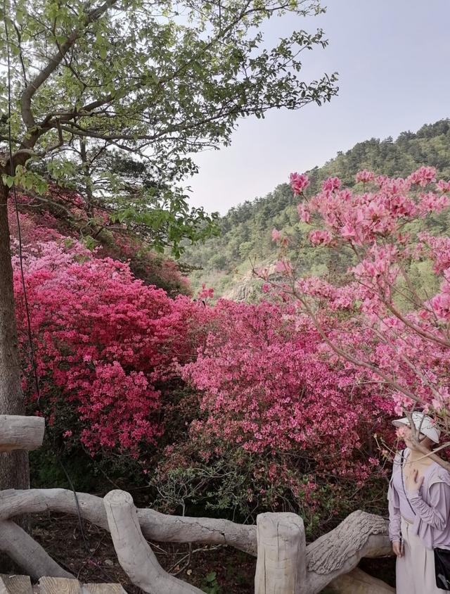 湖北16个5A景区，你去过几个？