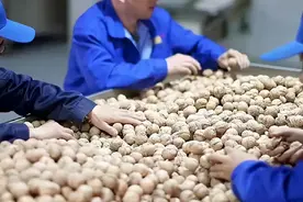 适合农村开的暴利的小型加工厂，投资三四万，回本快，不愁销路!图片