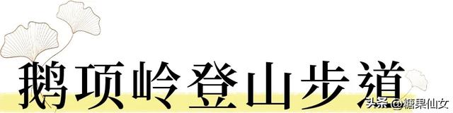 免费推荐！成都0.5h秋日免费打野攻略！摘柿子/板栗/八月瓜/野梨