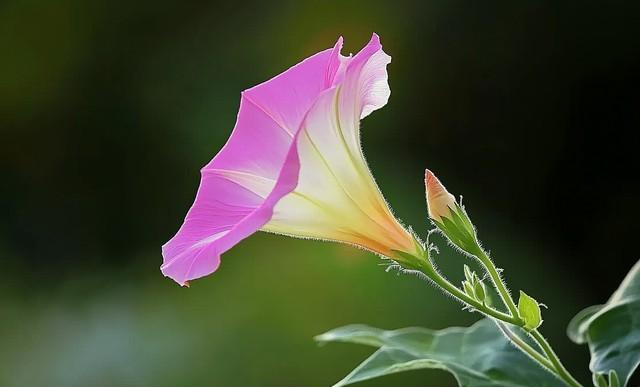 60岁阿姨直言不讳：两性关系中，女人最渴望的不是钱，而是这4样