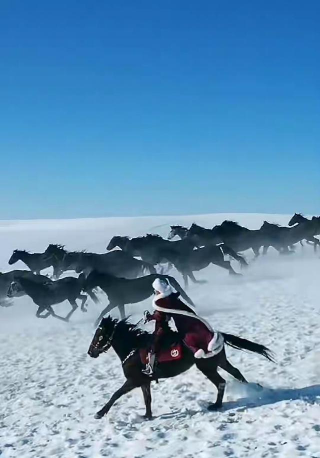贺娇龙去世细节曝光:靠机器维持心跳，葬在父亲墓旁 母亲担心成真
