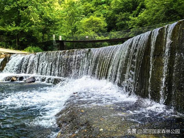 立减10℃!绿色天然避暑胜地,就在黑河国家森林公园→