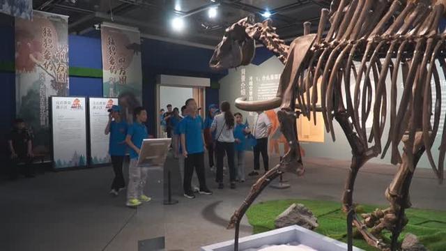 扬州：“科技+历史+生物”多元文化受热捧 “文化纳凉”成暑期新风尚