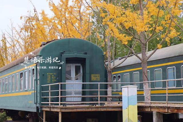 浙江宁波的水景公园，不仅是露营的好去处，还是银杏乌桕观赏胜地