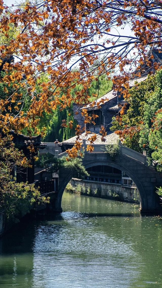 知否知否？应是山东小生！