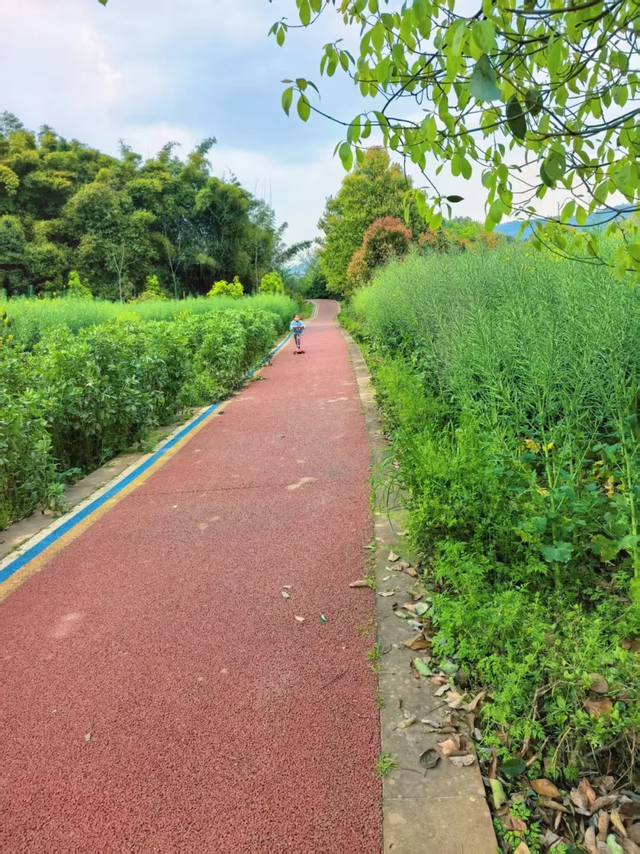 成都0.5h遛娃首选，又找到一条无人问津的捡秋绿道！