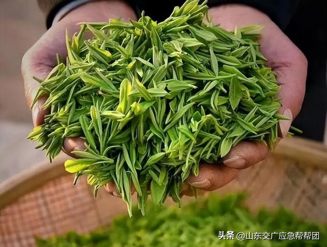乐游潍坊