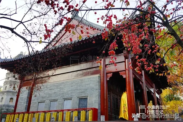 西安面积最大的免费古寺，地处闹市，幽深静谧！秋色正浓