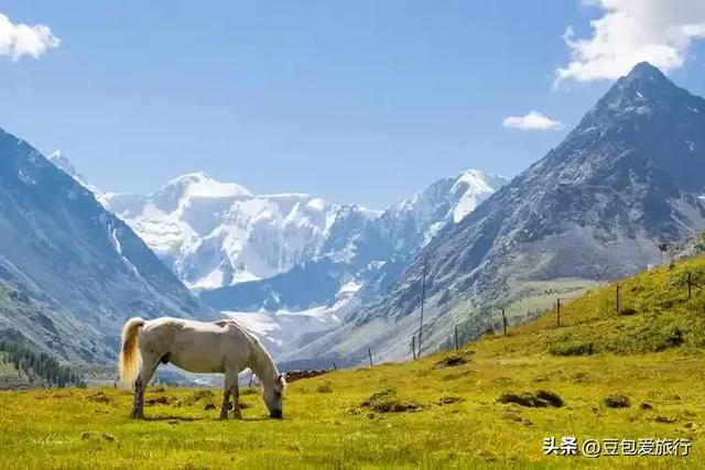 阿勒泰深度环游:喀纳斯禾木到可可托海秘境