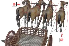 中华马文化：骠、骥、骁、骏、驹、骒、骊、骐、骅、骝、骓、骆图片