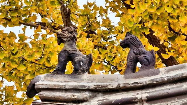 此时的你,被美到了!