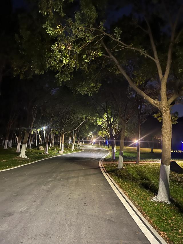 夜步嘉兴中央公园
