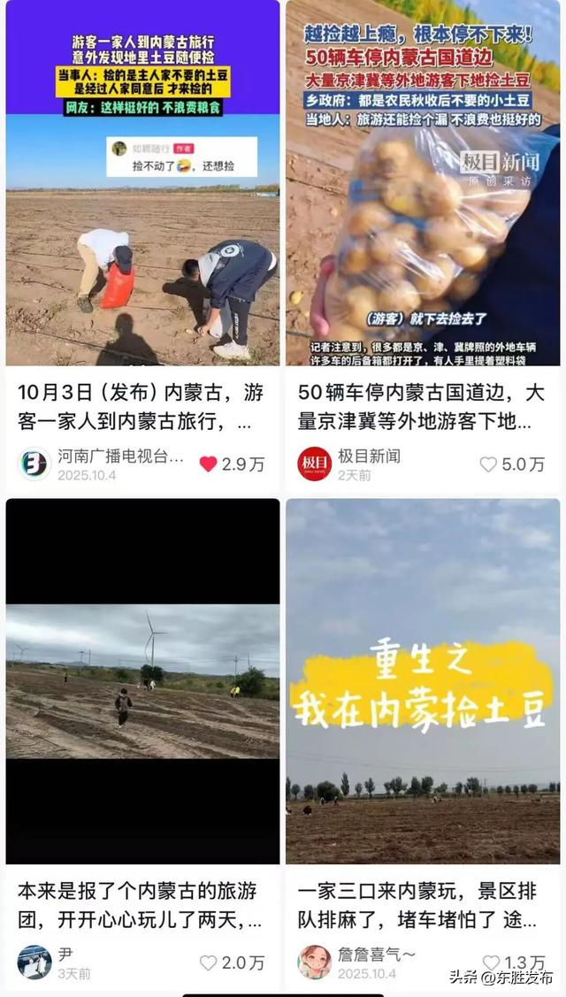 内蒙古土豆，“捡”的咋比买的还香？