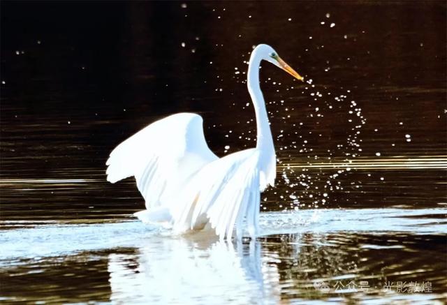 【近距离看敦煌】给党河风情线的秋色来个特写
