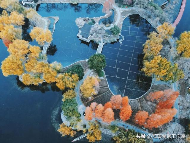 51张照片告诉你，南京的秋天有多美！