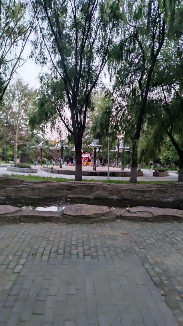 包头公园行（阿尔丁植物园、赛罕塔拉城中草原、奥林匹克公园）