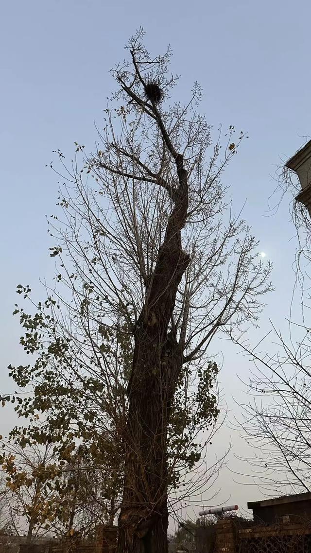 走过冷清鲜鱼口,遇见西打磨厂的旧时光