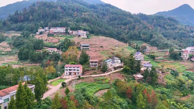 重访开州岳溪善字山:与一座山村的秋日对话,追寻记忆中的乡恋