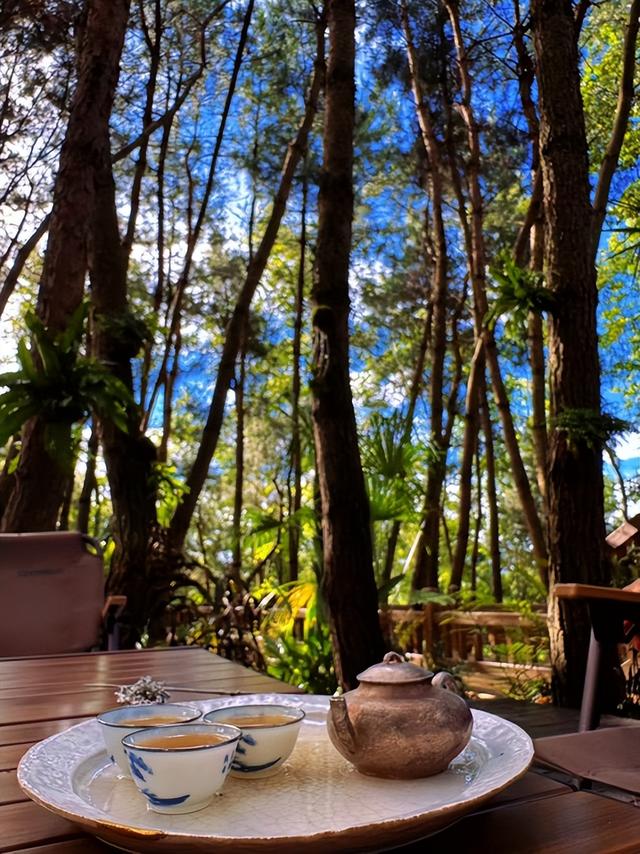 云湖兰山酒店：在数字浪潮与湖山诗意间，筑就一方共生秘境