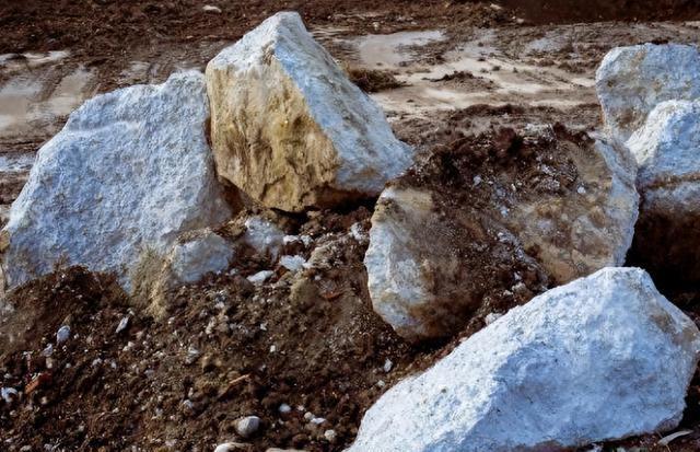 中方舰艇编队刚进钓鱼岛，日本就动手了，不到24小时，美军也下场