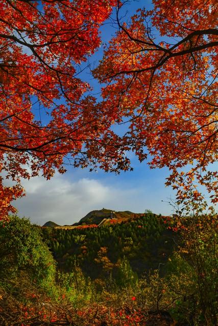 没人喜欢孤独，只是害怕失望一场关于心碎与自我安慰的幽默大逃亡