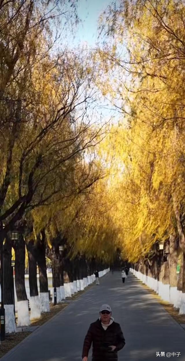 沈阳人私藏！北陵公园才是冬日天花板！