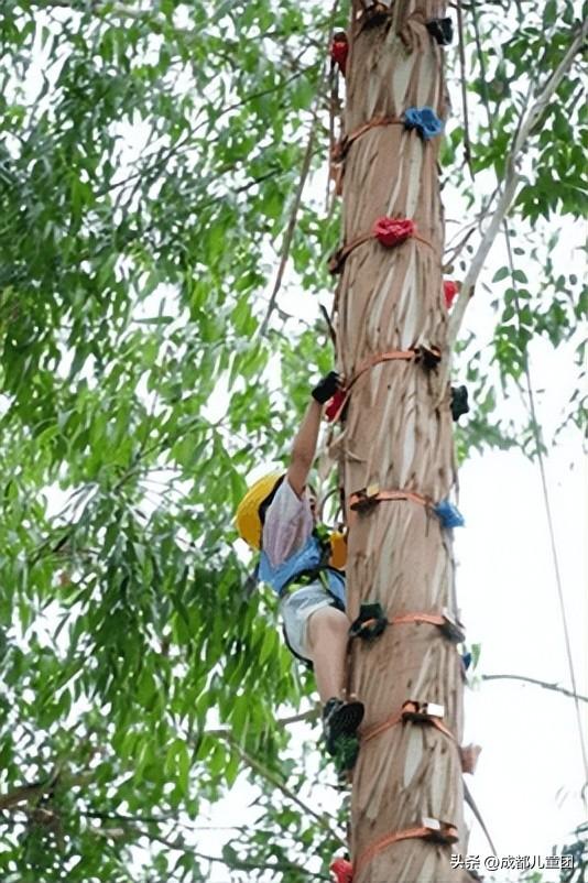 国庆去哪儿？草原金秋、潮汕舌尖味、熊猫守护……4条错峰优选线路，安排！