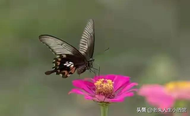 我搭伙过3个女人，发现女人过了55岁还找男人，无非就3个原因