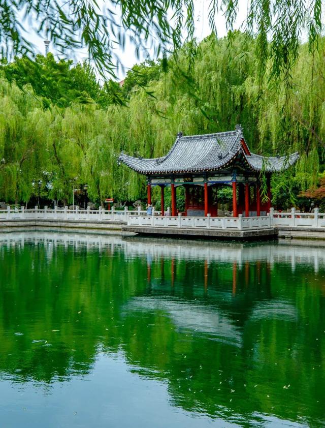 月牙泉“醒”了！济南泉水迎来最佳观赏期！