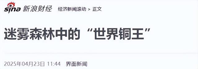 第二个“恒大”出现了！年收入超6000亿，这下许家印可不孤单了