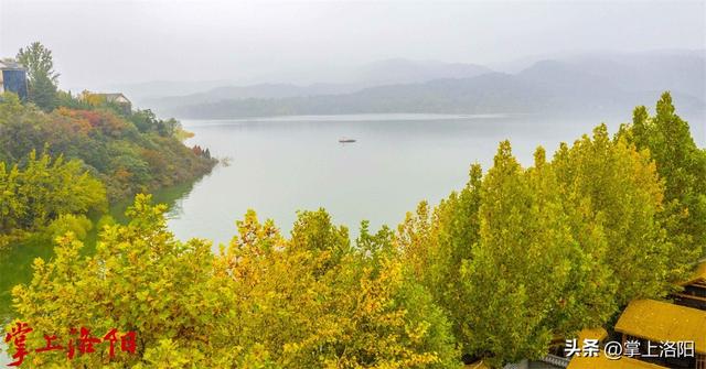 层林尽染！洛阳黄河两岸秋景已上线