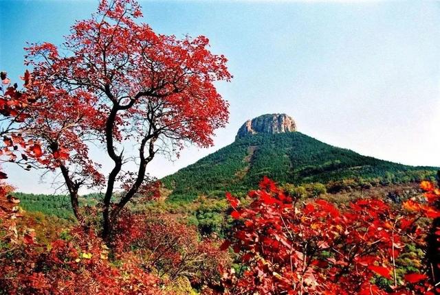 山亭文旅参加“运河明珠·匠心枣庄”2025枣庄文旅推介活动(连云港站）