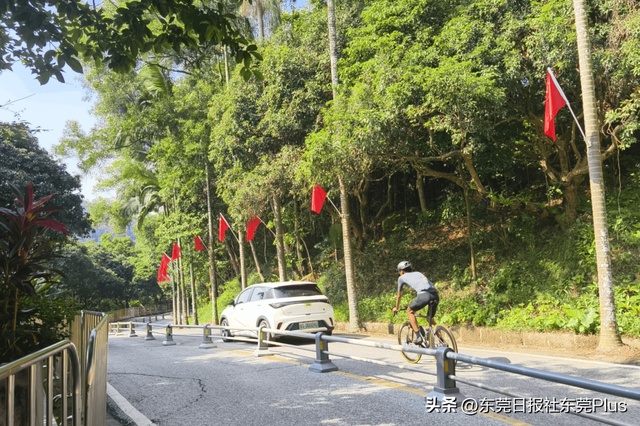 国庆中秋双节同庆，东莞主要自然公园迎客93.99万人次