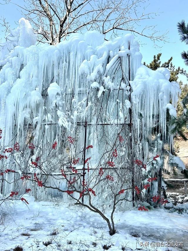 【乐游烟台】真不在北极！烟台“冰雪世界”最新实拍→