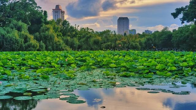 云南：夏可以纳凉冬可以避寒