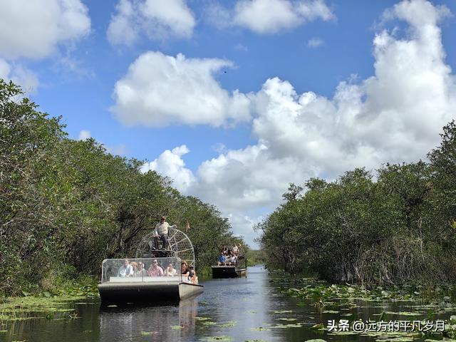 大沼泽地美国国家公园（迈阿密游记三）