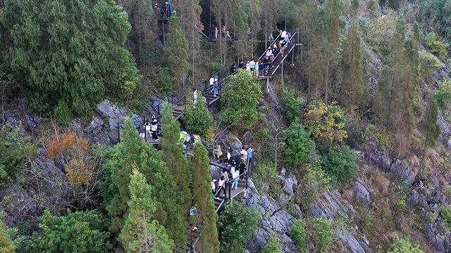 马踏春风登万峰·龙马精神启新年丨2026万峰林新春徒步活动举行